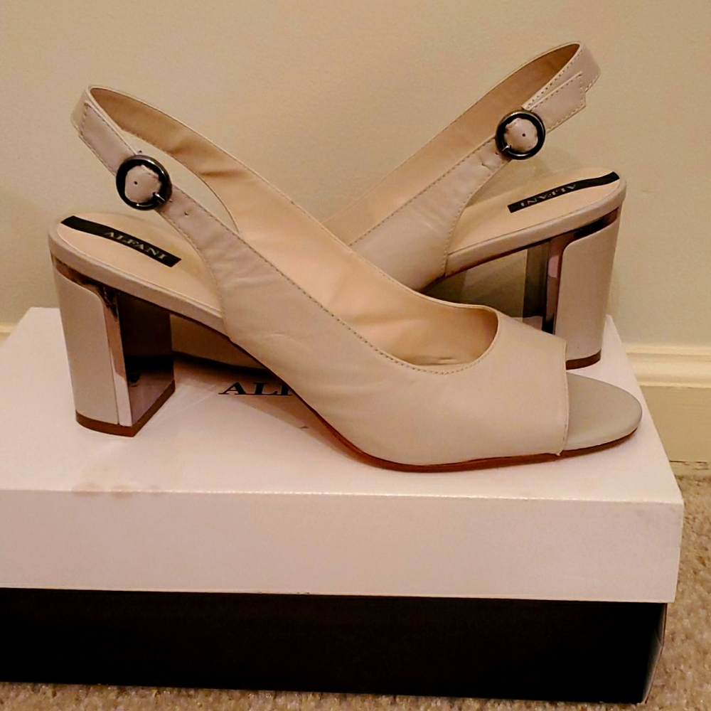 Alfani Shoes